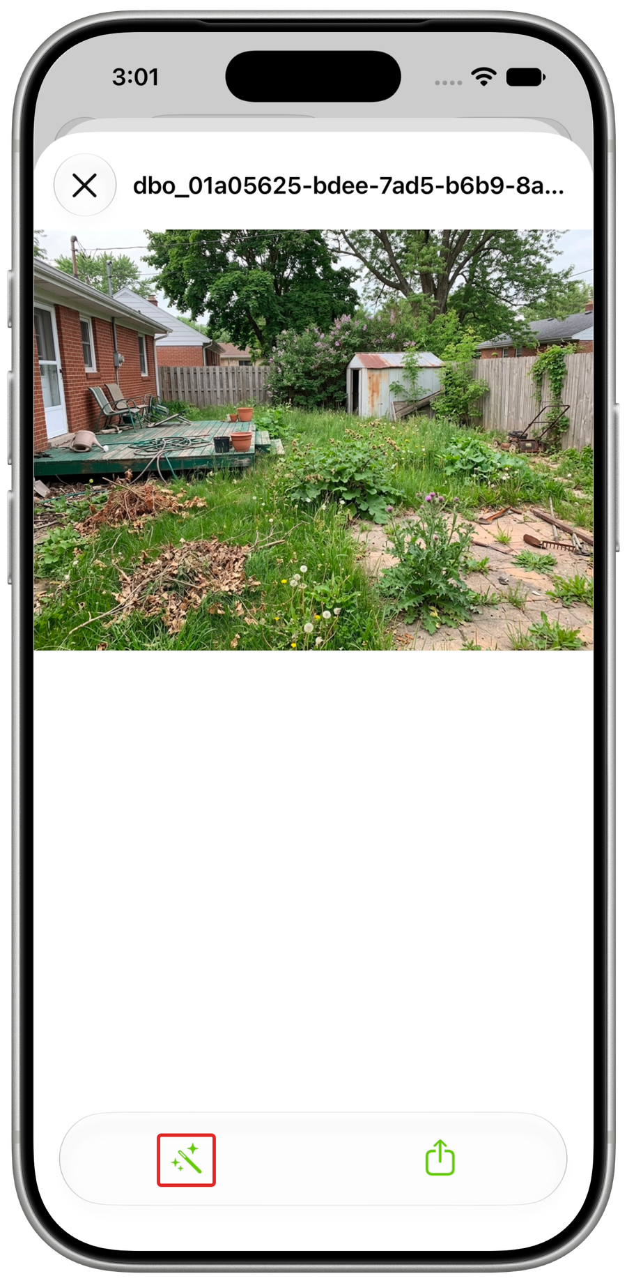 Proposal photo viewer with the Imagine wand outlined in red